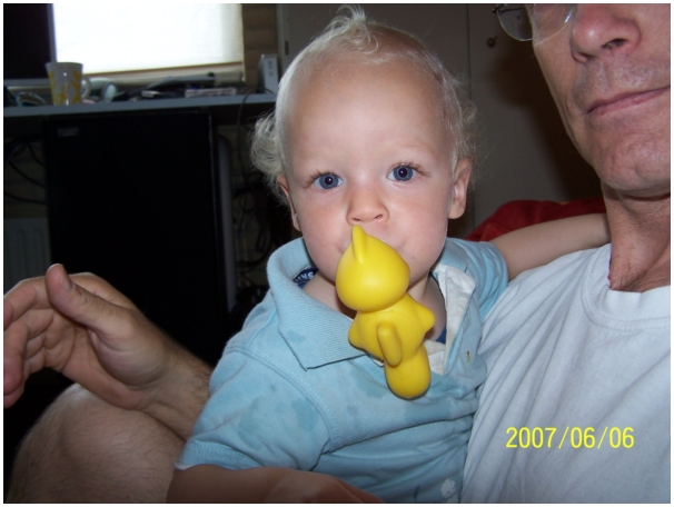 584x433 pixels (178K)